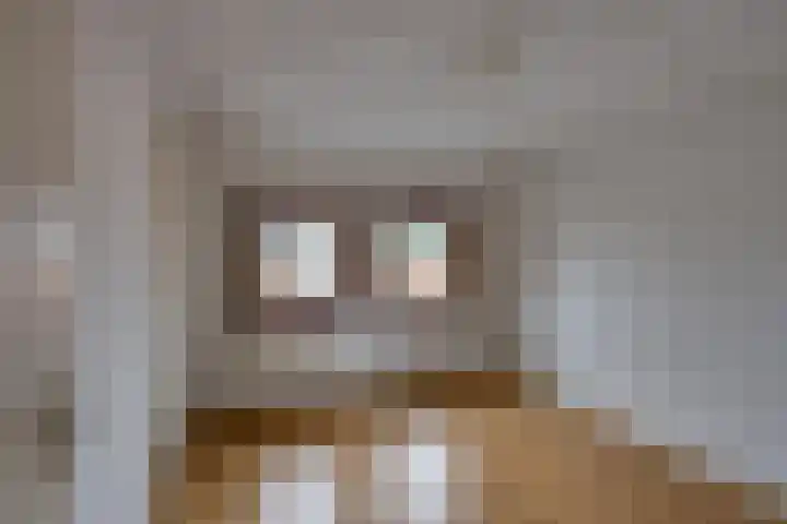 Hertenlaan 19 Hoeven thumbnail 33