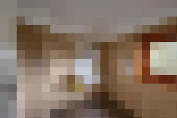 Hertenlaan 19 Hoeven thumbnail 35