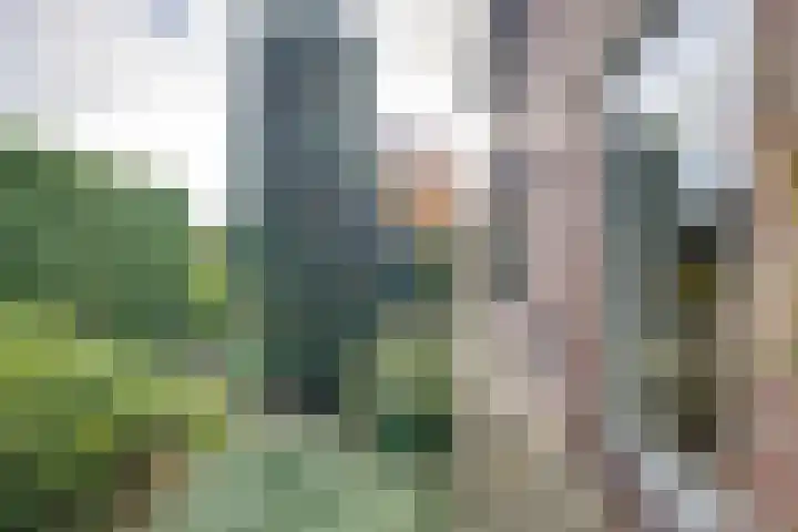 Hertenlaan 19 Hoeven thumbnail 37