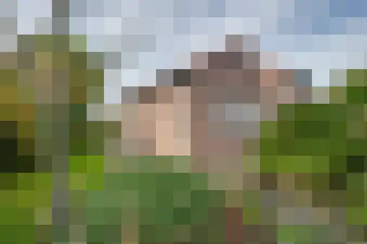 Hertenlaan 19 Hoeven thumbnail 39