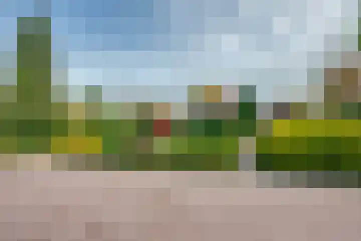 Hertenlaan 19 Hoeven thumbnail 4