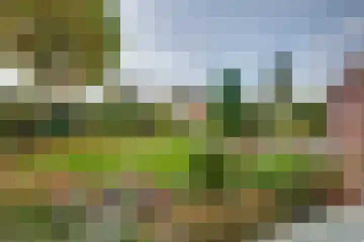 Hertenlaan 19 Hoeven thumbnail 40