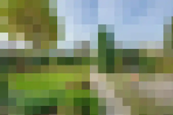Hertenlaan 19 Hoeven thumbnail 41