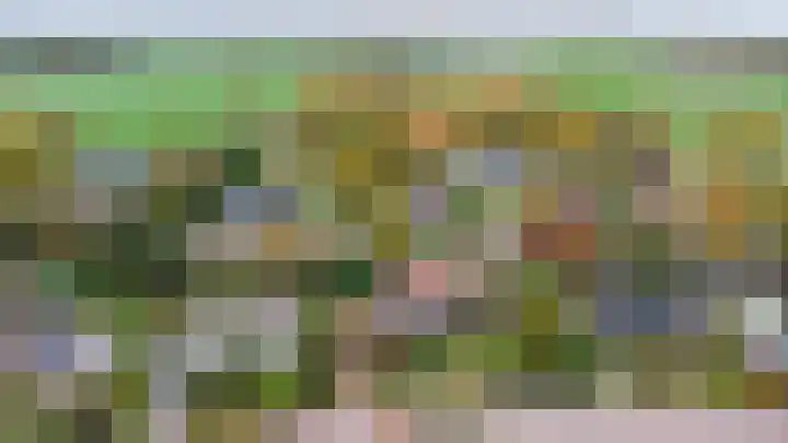 Hertenlaan 19 Hoeven thumbnail 42