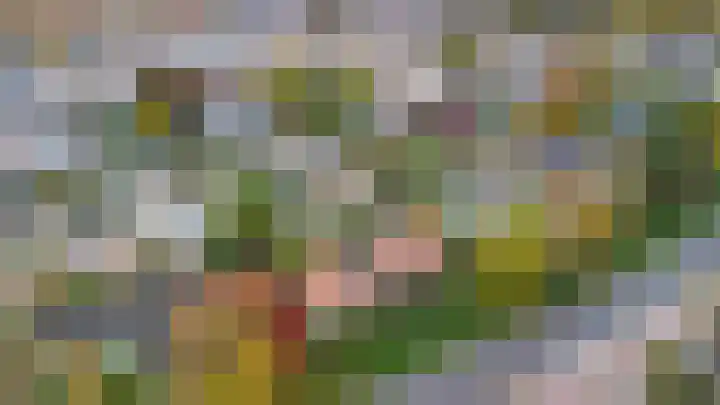 Hertenlaan 19 Hoeven thumbnail 43