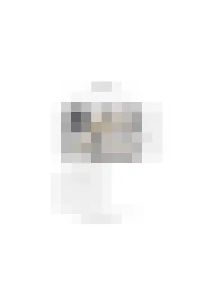 Hertenlaan 19 Hoeven thumbnail 47
