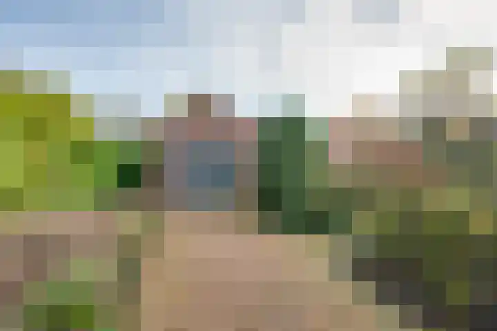 Hertenlaan 19 Hoeven thumbnail 5