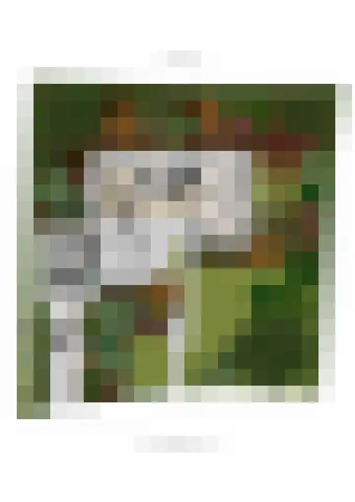 Hertenlaan 19 Hoeven thumbnail 50