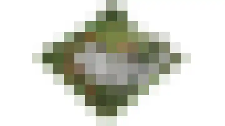 Hertenlaan 19 Hoeven thumbnail 51