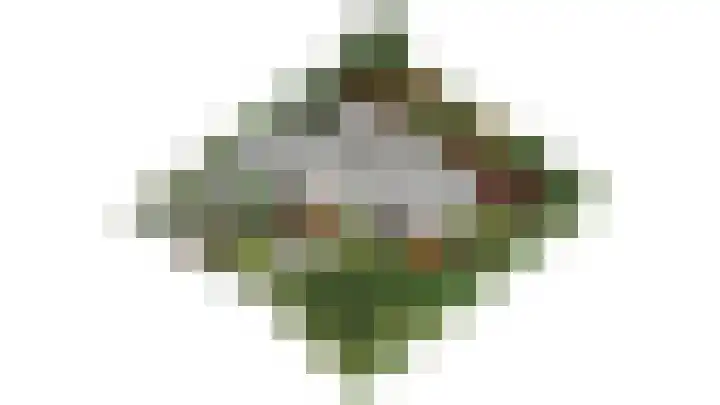 Hertenlaan 19 Hoeven thumbnail 52