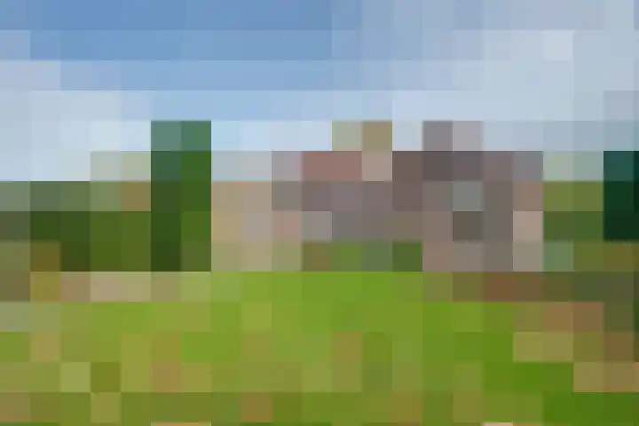 Hertenlaan 19 Hoeven thumbnail 6