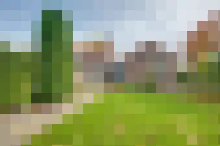 Hertenlaan 19 Hoeven thumbnail 7