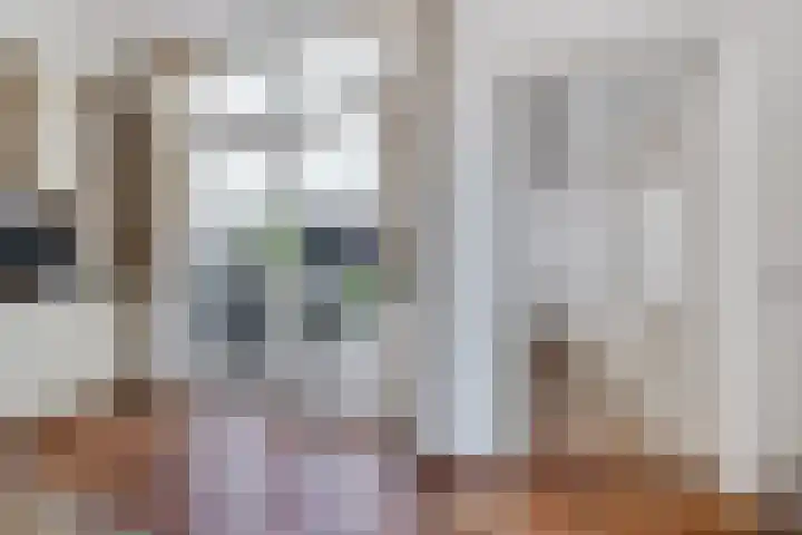 Hertenlaan 2 Assen thumbnail 13