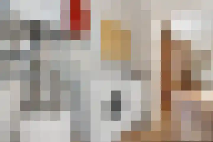 Hertenlaan 2 Assen thumbnail 20