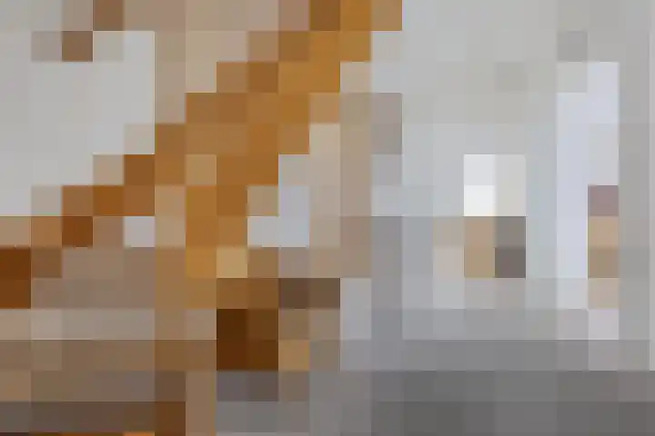 Hertenlaan 2 Assen thumbnail 21