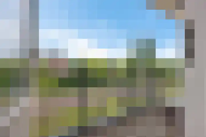 Hertenlaan 2 Assen thumbnail 25