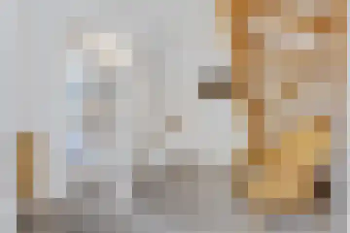 Hertenlaan 2 Assen thumbnail 30