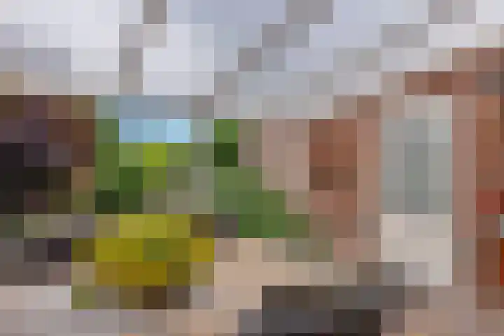 Hertenlaan 2 Assen thumbnail 47