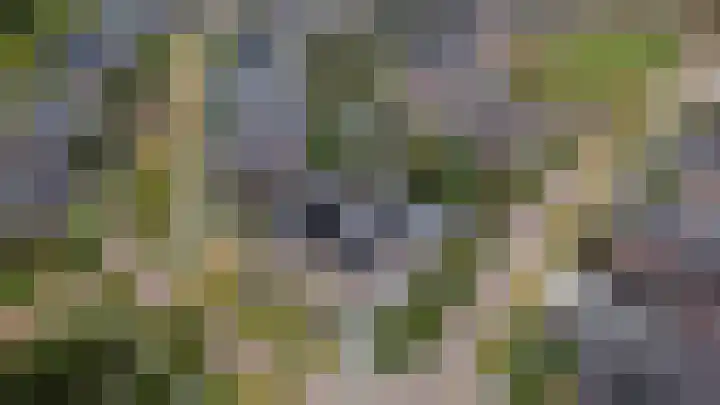 Hertenlaan 2 Assen thumbnail 61