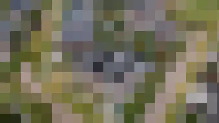 Hertenlaan 2 Assen thumbnail 62