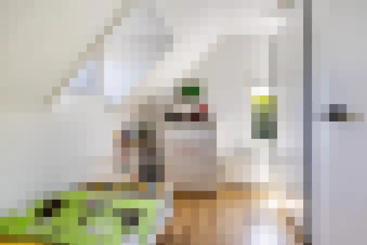 Hertenlaan 21 Apeldoorn thumbnail 30