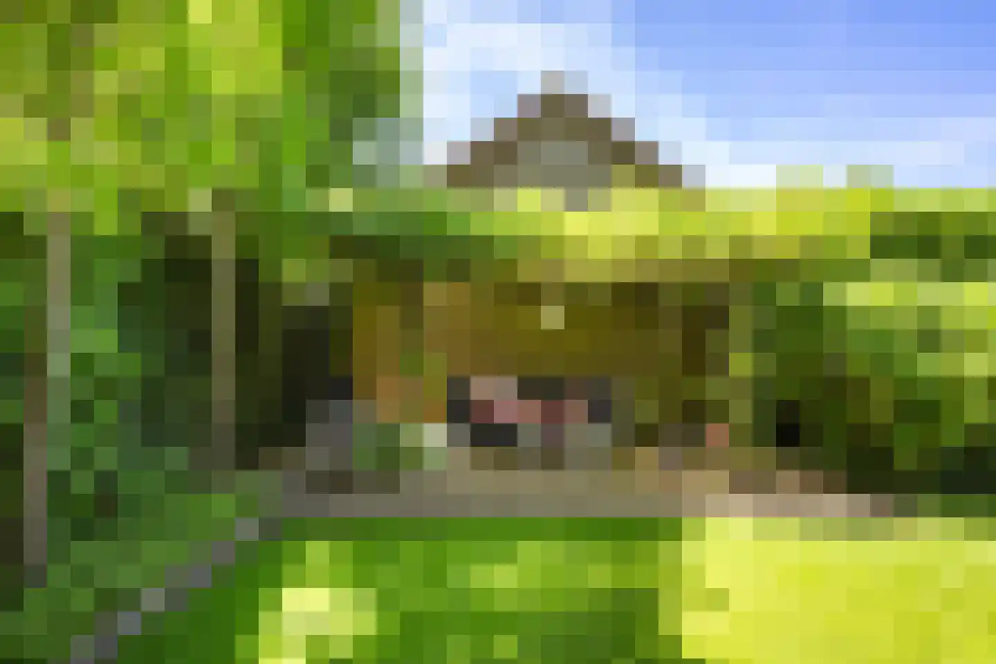 Hertenlaan 21 Apeldoorn thumbnail 40