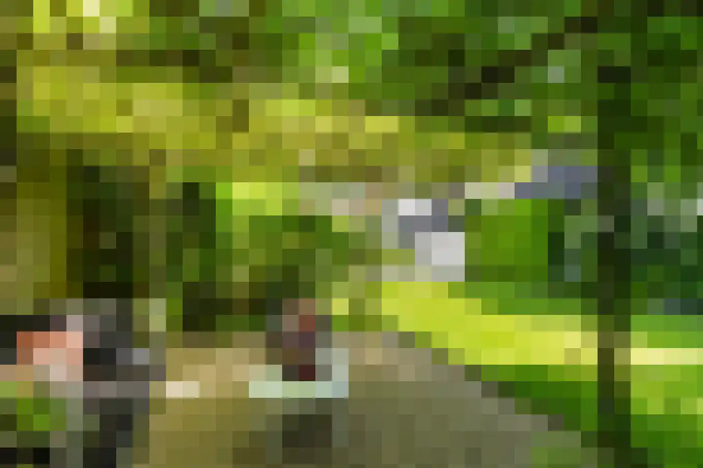 Hertenlaan 21 Apeldoorn thumbnail 41