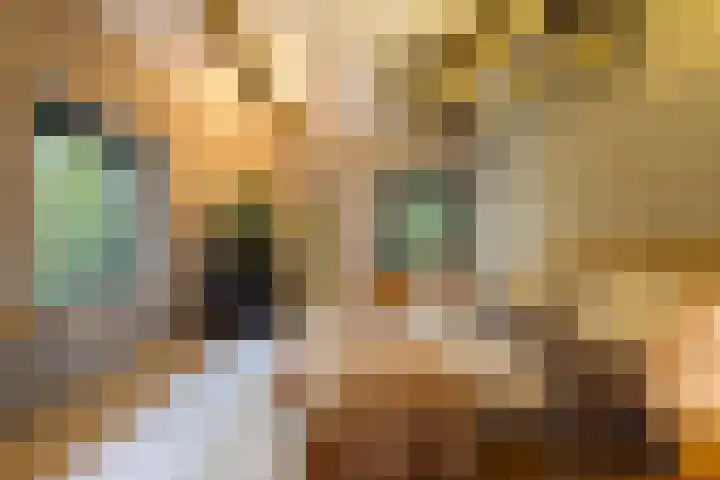 Hertenlaan 21 Den Dolder thumbnail 10