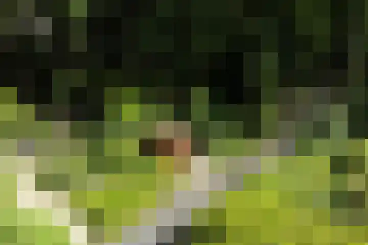 Hertenlaan 21 Den Dolder thumbnail 17