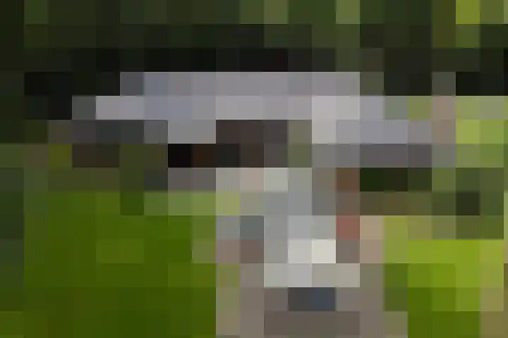 Hertenlaan 21 Den Dolder thumbnail 21