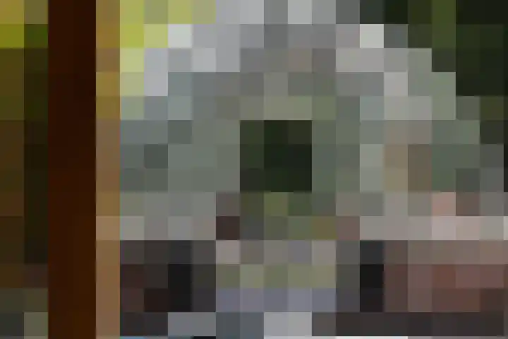 Hertenlaan 21 Den Dolder thumbnail 23