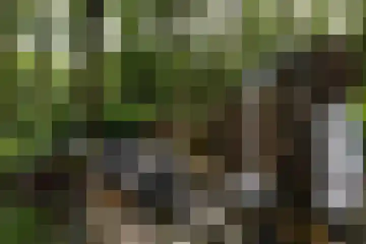 Hertenlaan 21 Den Dolder thumbnail 30