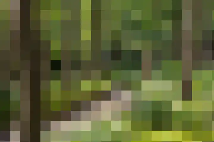 Hertenlaan 21 Den Dolder thumbnail 31