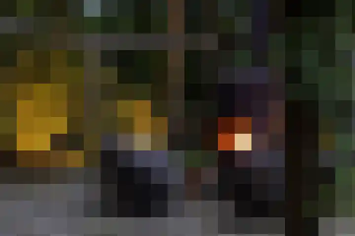 Hertenlaan 21 Den Dolder thumbnail 34