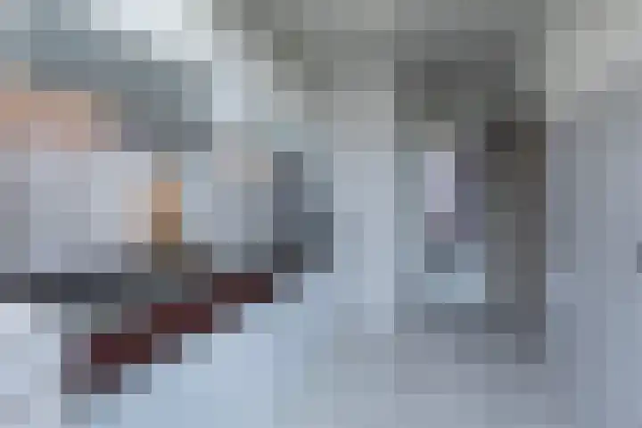 Hertenlaan 21 Waalre thumbnail 10