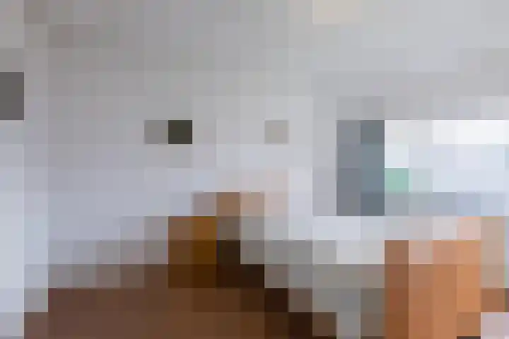 Hertenlaan 21 Waalre thumbnail 12