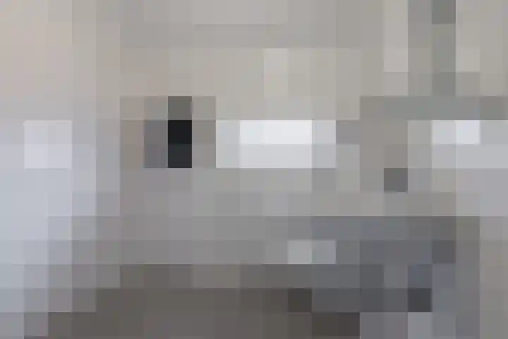 Hertenlaan 21 Waalre thumbnail 19