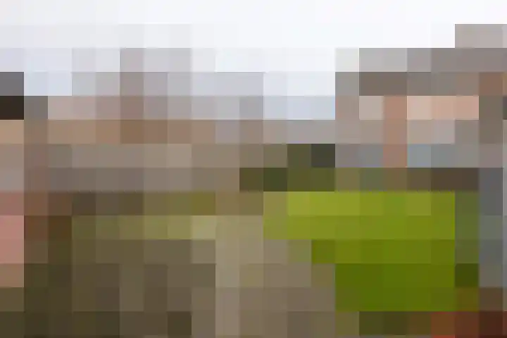 Hertenlaan 21 Waalre foto 2
