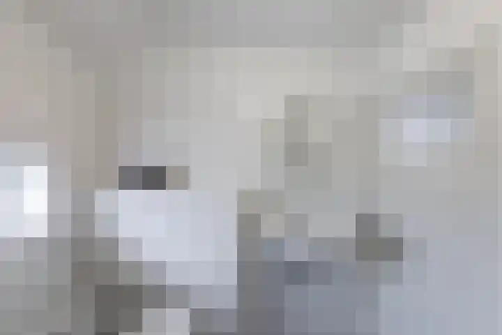 Hertenlaan 21 Waalre thumbnail 20