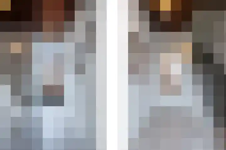 Hertenlaan 21 Waalre thumbnail 24