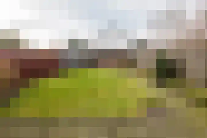 Hertenlaan 21 Waalre thumbnail 25