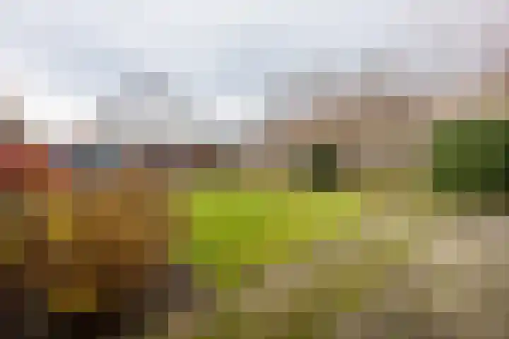 Hertenlaan 21 Waalre thumbnail 26