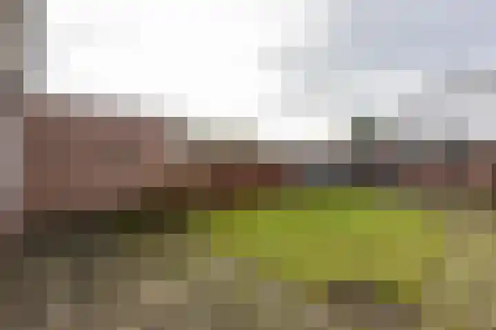 Hertenlaan 21 Waalre thumbnail 27