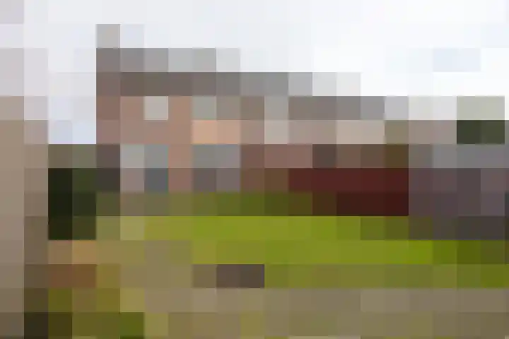 Hertenlaan 21 Waalre thumbnail 28