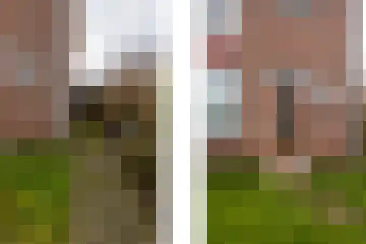 Hertenlaan 21 Waalre thumbnail 30
