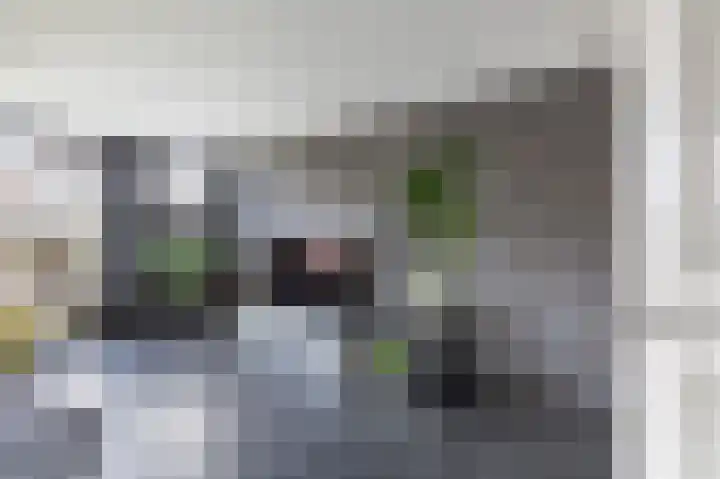 Hertenlaan 22 Assen thumbnail 13