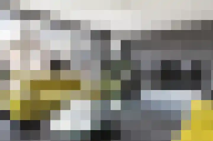Hertenlaan 22 Assen thumbnail 17