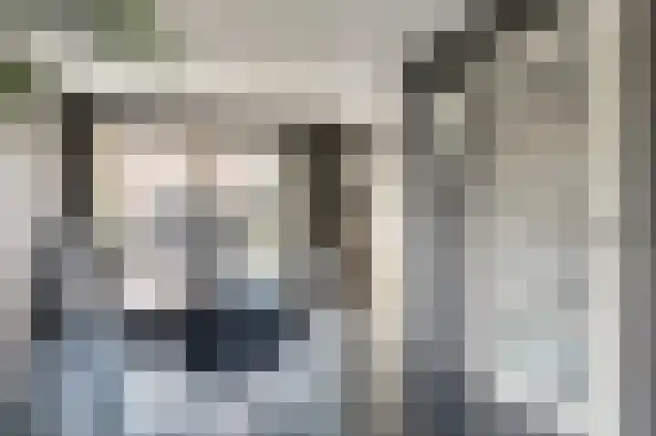 Hertenlaan 22 Assen thumbnail 21