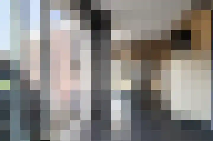 Hertenlaan 22 Assen thumbnail 26