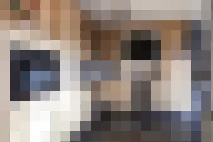 Hertenlaan 22 Assen thumbnail 30